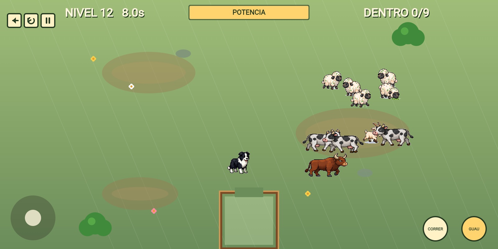 Perro Ovejero: un border collie reúne ovejas, vacas, una cabra y un toro junto al corral